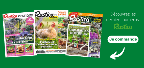 Rustica - nouveaux numéros